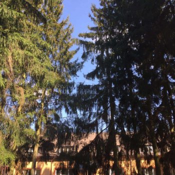 дом престарелых