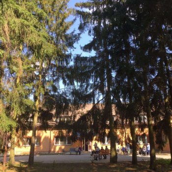 дом престарелых